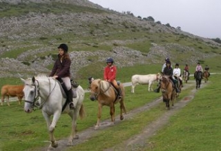 Sejours equestres dans les Pyrenees Atlantiques